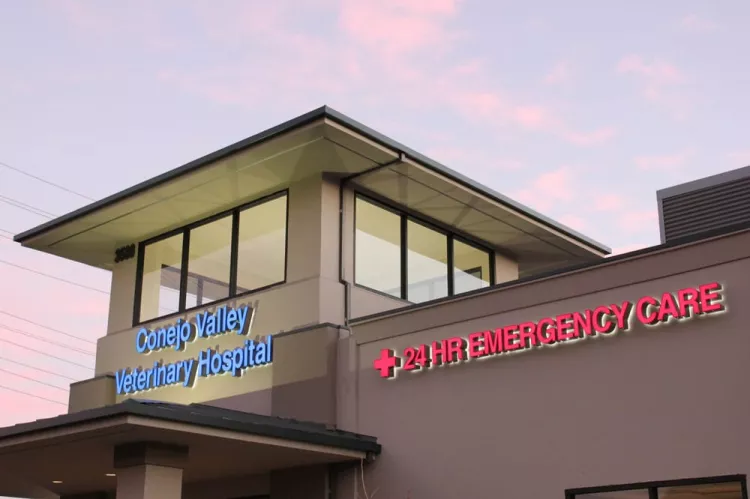 Conejo Valley Veterinary Hospital, California, Thousand Oaks
